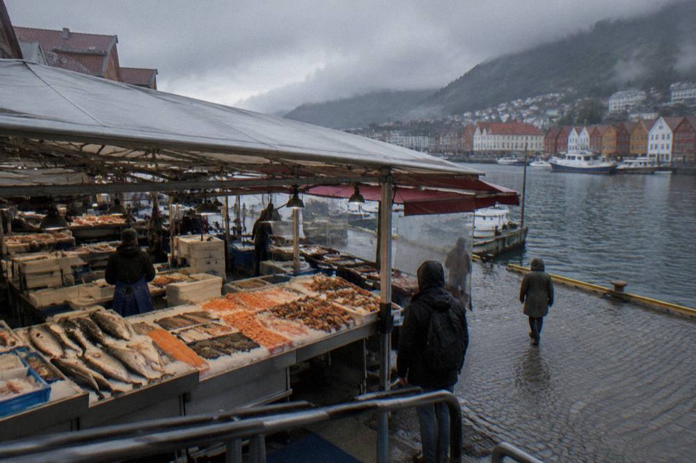 A covered fish market stall in central Bergen with fresh seafood displayed on ice