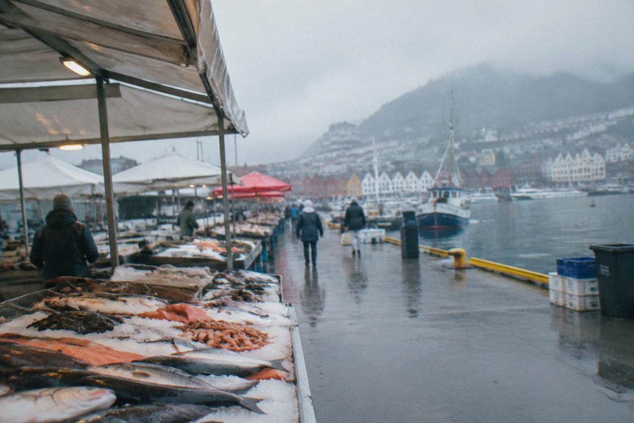 Open-air fish market stalls with fresh seafood displayed on ice beside Bergen harbour