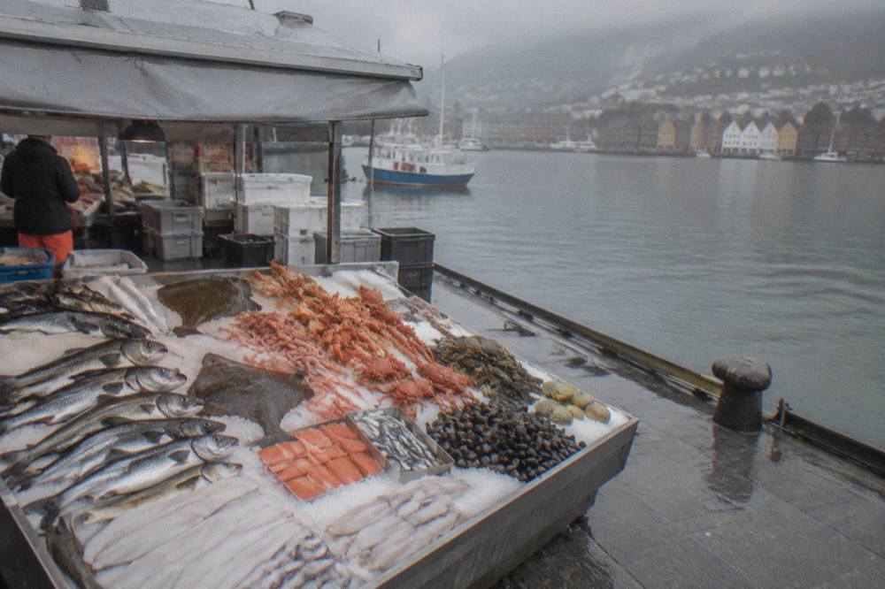 Fresh fish and seafood displayed on ice at an outdoor market stall in Bergen