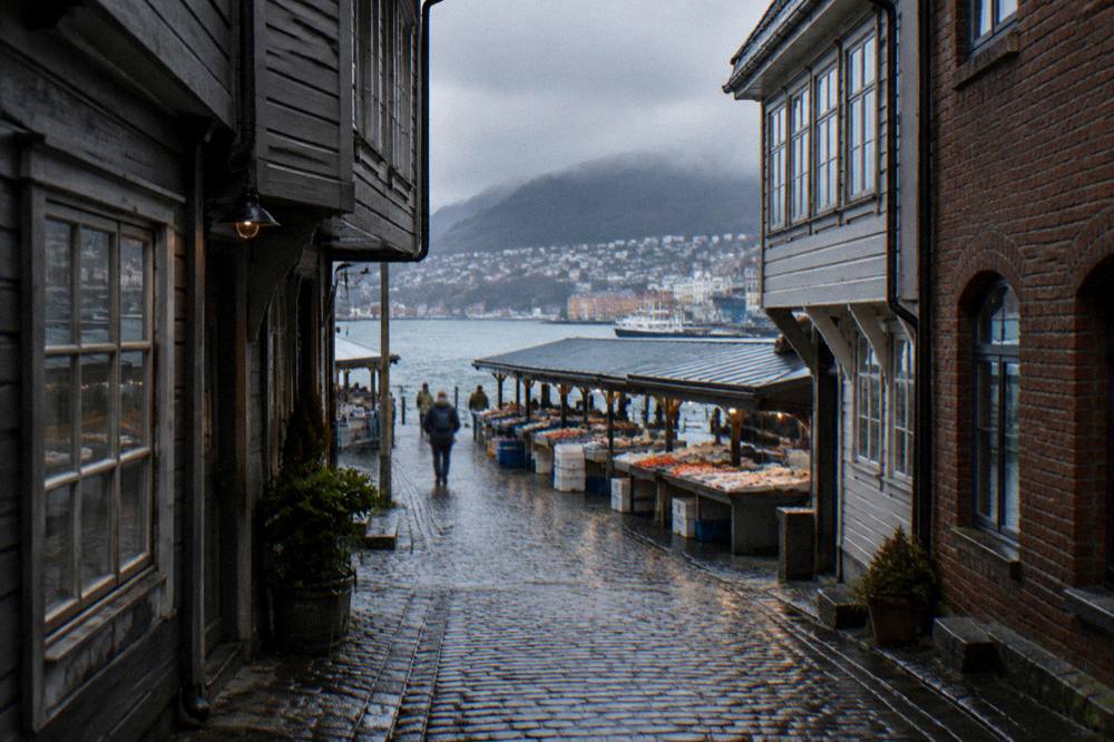 Market stalls with fresh fish and seafood under a roof beside the harbour
