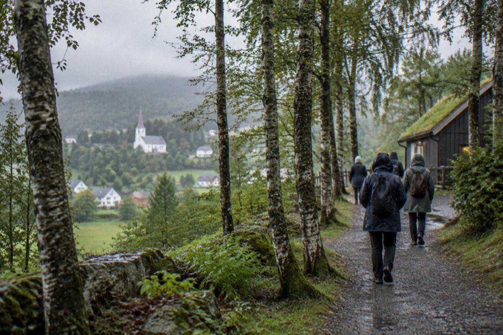 Visitors walking a gravel path through birch woodland toward a small timber building