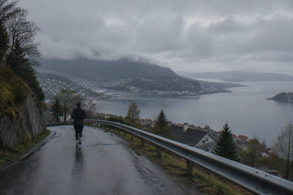 A fjord arm seen from a hillside road with calm grey water and forested slopes