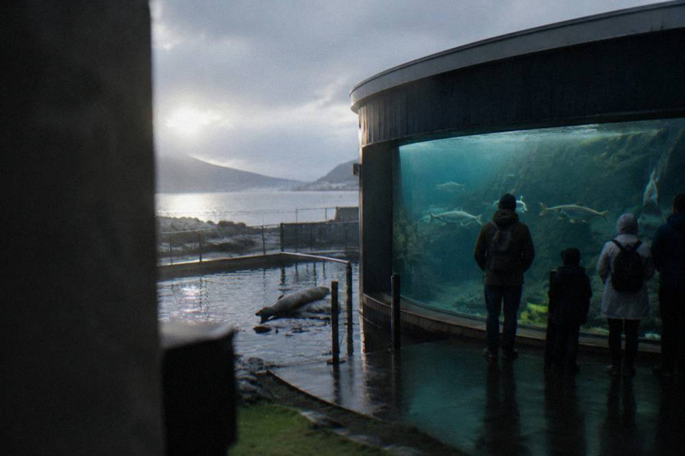 Visitors standing in front of a large curved aquarium window watching fish swim past