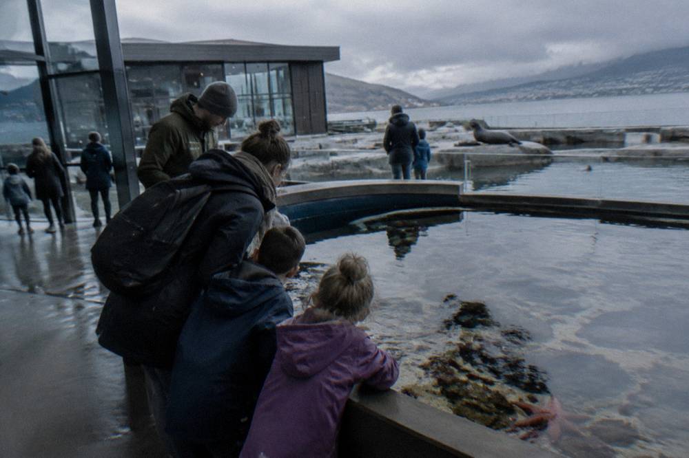 A family with children looking into a shallow touch pool inside an aquarium