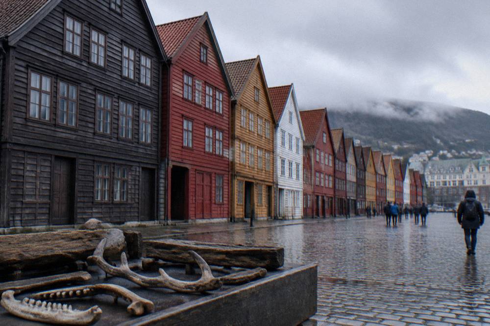 Wooden artefacts and bone finds from the Bryggen excavations in a museum display case