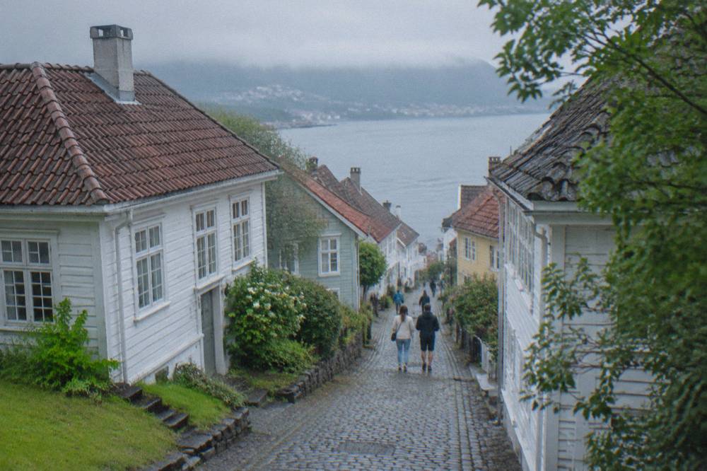Old wooden museum houses in summer with green grass and leafy trees