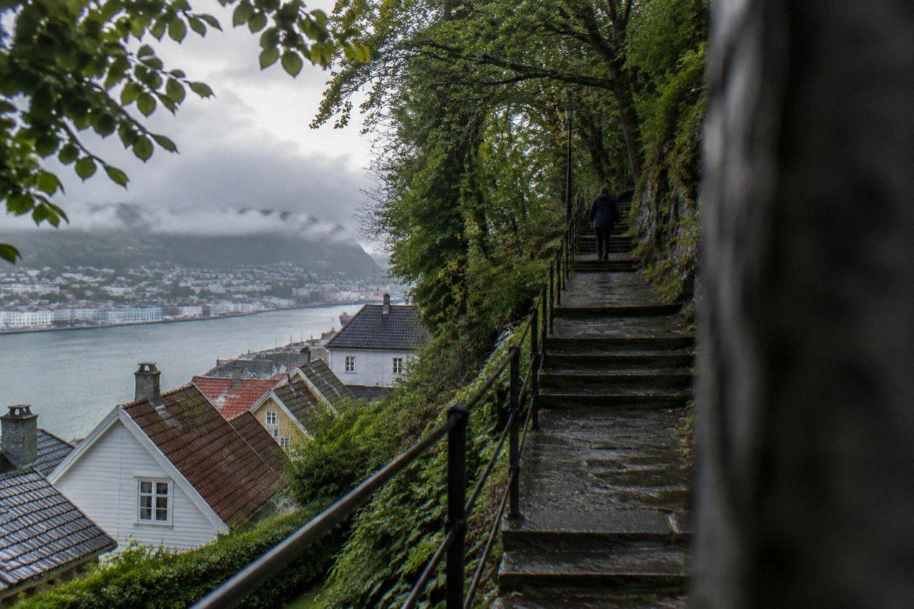 A long stone staircase climbing through trees up a steep hillside above wooden houses in Bergen