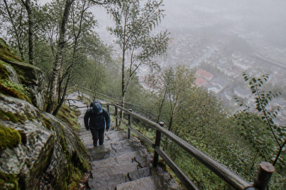 A climber in a rain jacket ascending wet stone steps surrounded by birch trees