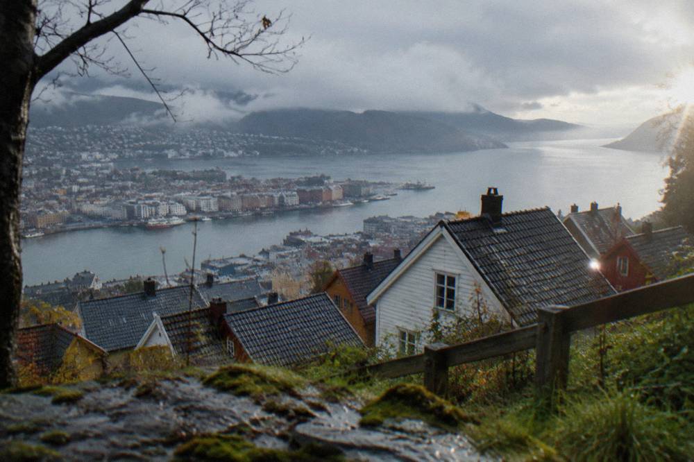 View over Bergen harbour and wooden house rooftops from a hillside clearing above the city