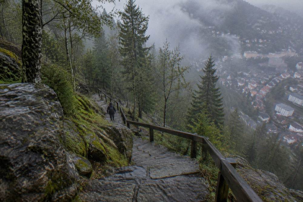 Mist drifting through birch and spruce forest along a stone step path on a hillside