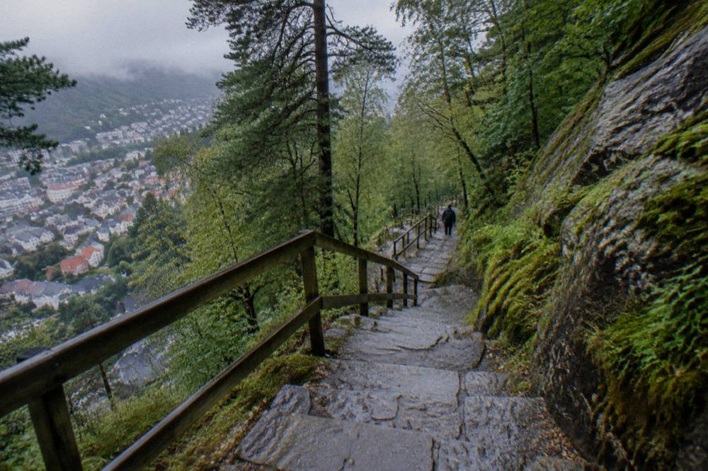 Weathered stone steps winding uphill through dense green woodland on a Norwegian hillside