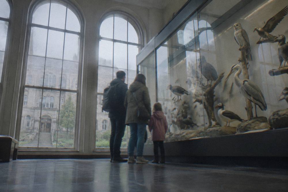 A family looking at a large glass display case of birds in a museum gallery.