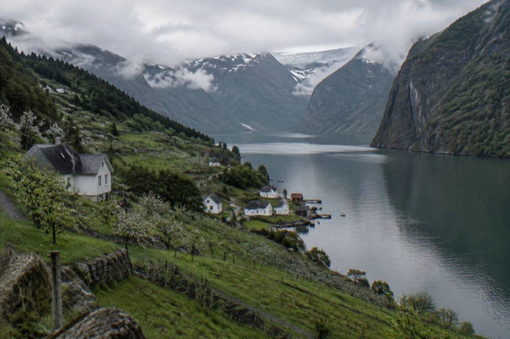 Steep rock walls and still water at the mouth of a narrow fjord arm