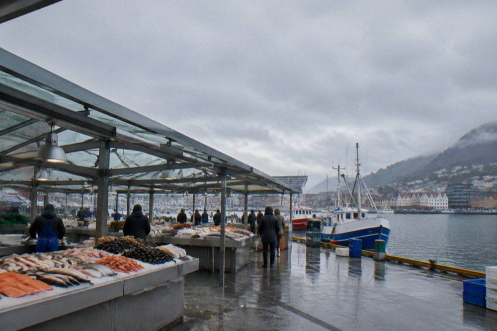 Outdoor seafood stalls at the Bergen Fish Market with fresh fish displayed on ice