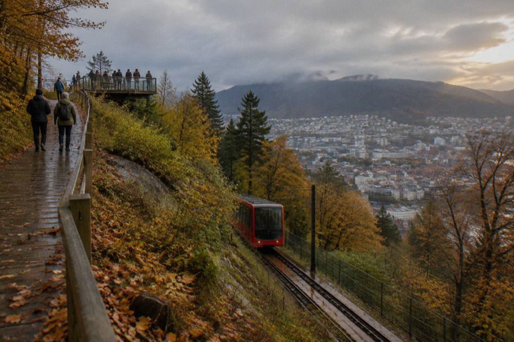 Autumn leaves along a wooden path on Mount Floyen above Bergen