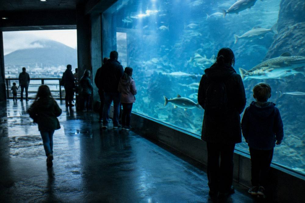 Children and adults watching fish swim in a large aquarium tank lit with blue light