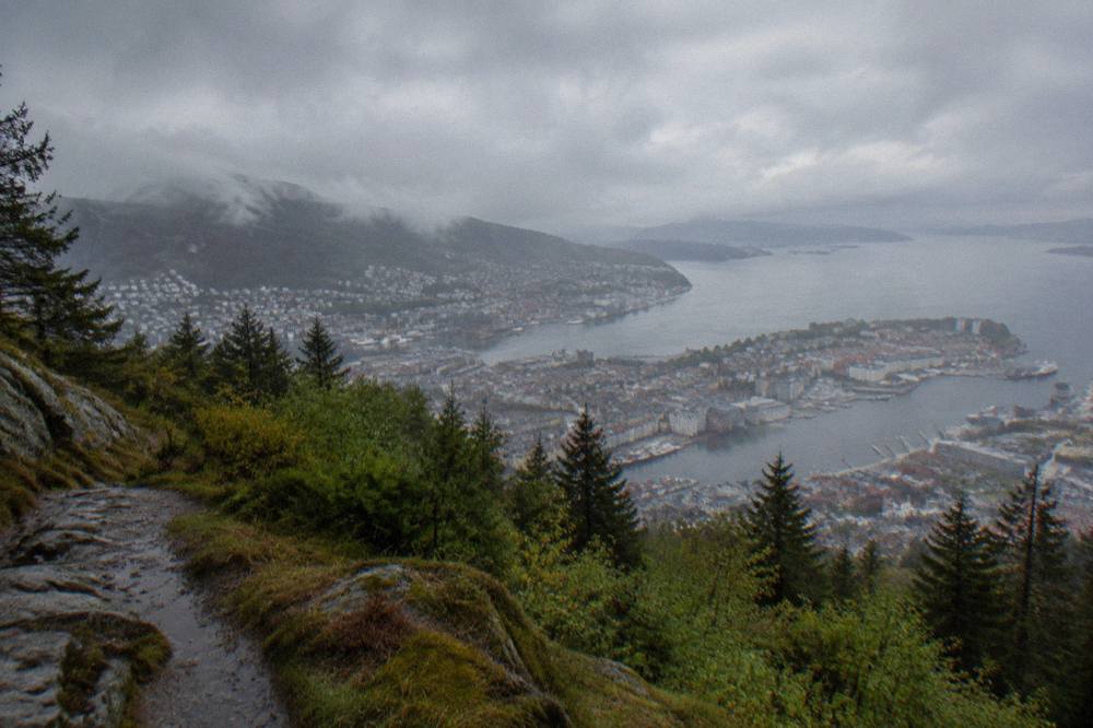 Panoramic view of Bergen's rooftops and harbor from a forested mountain summit