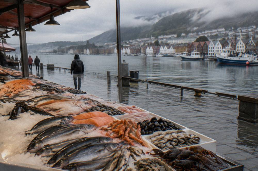 Fresh whole fish and shellfish displayed on ice at a Bergen fish counter