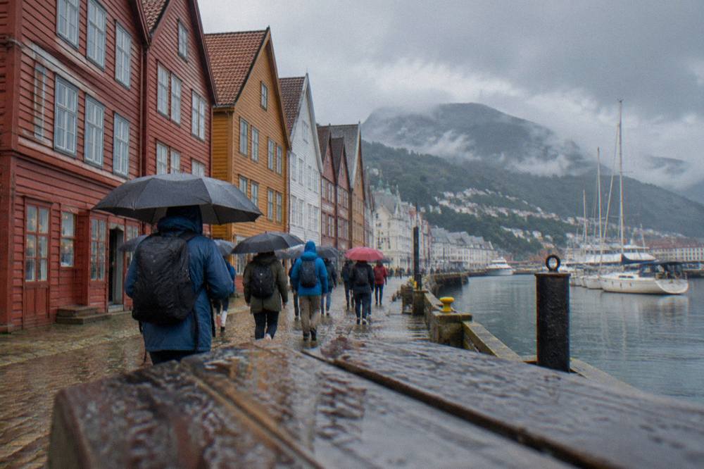 Guided walkers with umbrellas following a tour guide along a historic wharf street
