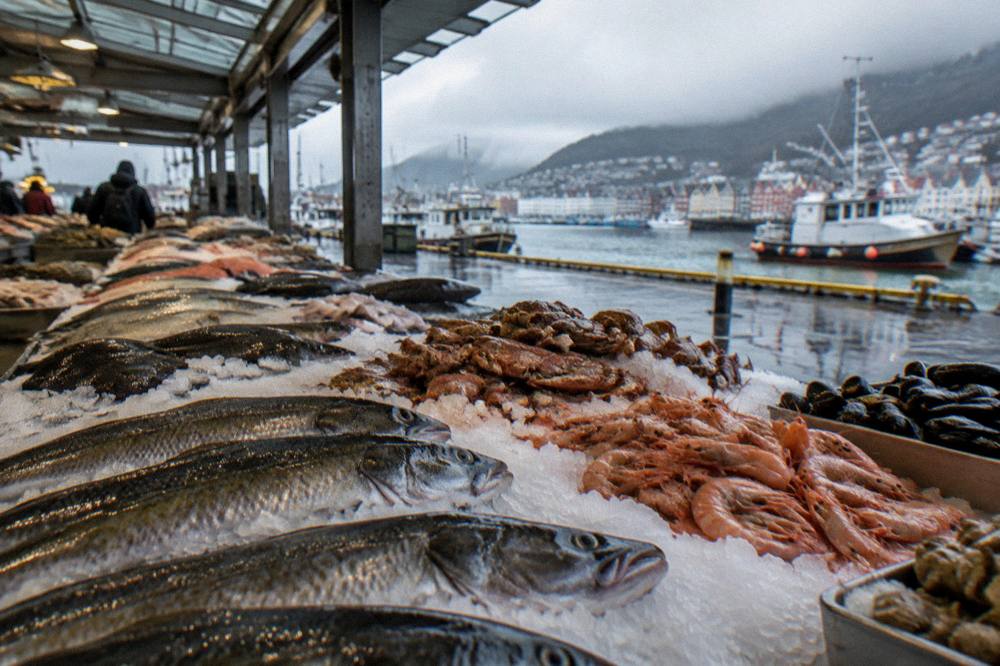 A food stall selling fresh seafood at the Bergen fish market