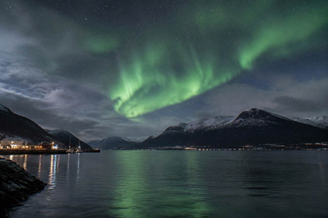 Green aurora over dark fjord water with mountains silhouetted against a starry sky