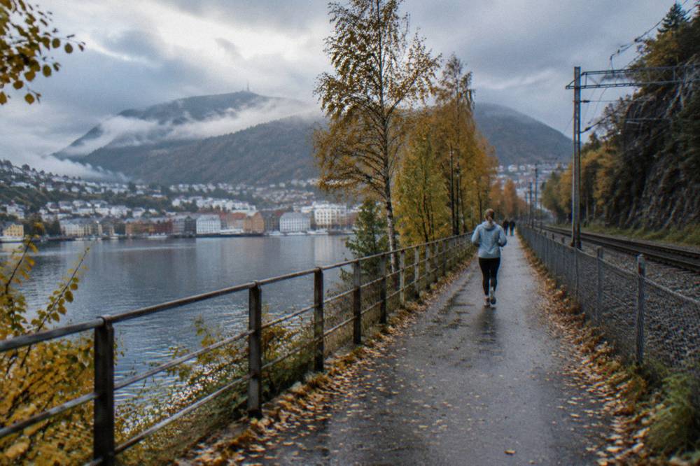 Autumn-coloured birch trees beside a rail line in western Norway with mist on the hills