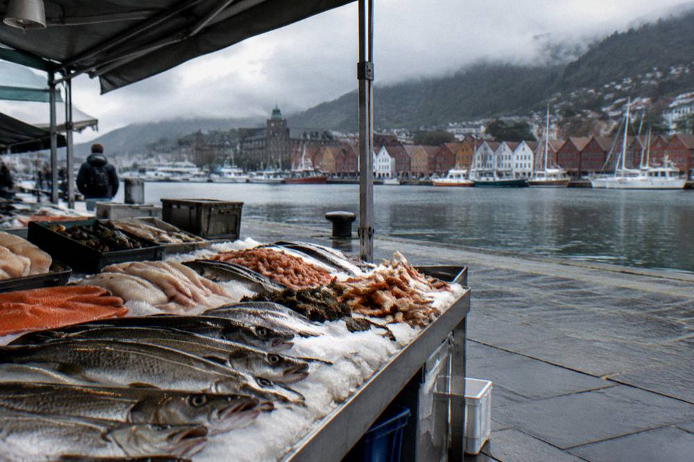 A outdoor food market stall with fresh fish and seafood on ice displayed for customers