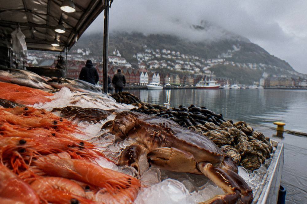 Fresh seafood and shellfish displayed on ice at a Bergen market stall