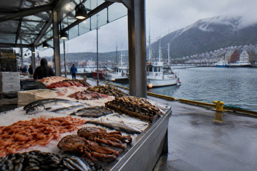 A seafood stall at the Bergen Fish Market displaying fresh fish and shellfish on ice